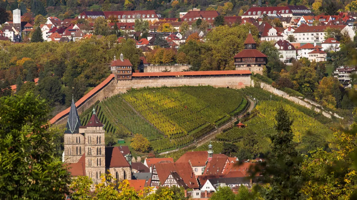 Blick auf Esslingen mit Burg, Weinbergen und Stadtkirche St. Dionys.
