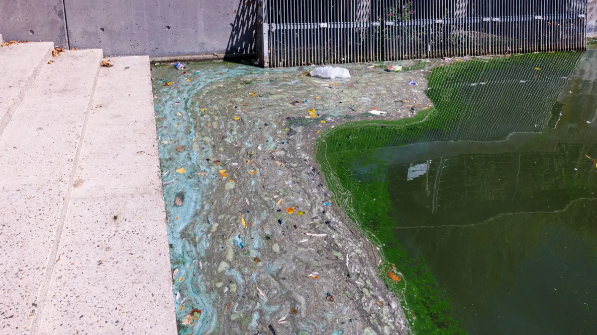 Blaualgen: Böblingen, Unterer See, Blaualgen, Verschmutzung, Müll, Abfluss,