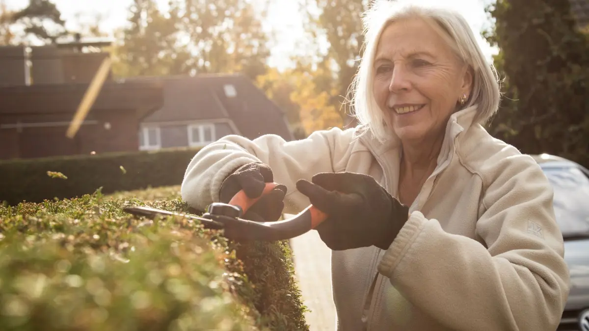 Eine Frau schneidet eine Hecke: ILLUSTRATION - Ran an die Schere: Im Herbst können Gehölze ausgelichtet und von abgestorbenen Zweigen befreit werden. (zu dpa: «Sträucher schneiden: Was im Herbst sinnvoll ist») Foto: Christin Klose/dpa-mag - Honorarfrei nur für Bezieher des Dienstes dpa-Magazin +++ dpa-Magazin +++