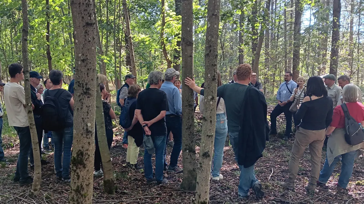 Oberhalb von Heimsheim mitten im Wald diskutieren Bürgerinnen und Bürger mit Fostfachleuten und dem Windkraftprojektierer über die Auswirkungen eines Windrads.