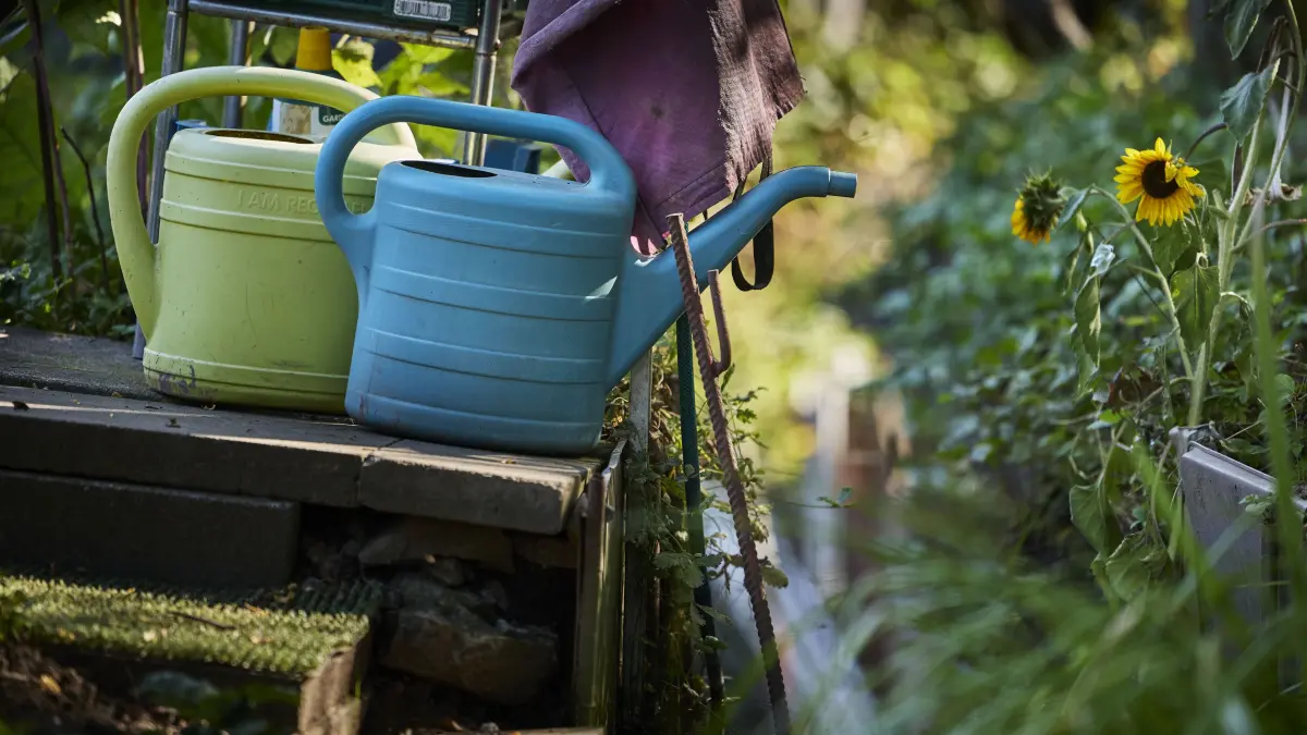 KEINEN AUSSCHNITT MACHEN Gieskanne in einem Gartengrundstück am Bach: KEINEN AUSSCHNITT MACHEN
Waiblingen, DEU, 28.09.2026
Gieskanne in einem Gartengrundstück am Bach.
No model release. Kein Einverständnis für Werbung, keine Weitergabe an Dritte.
Abgebildete Personen haben der Veröffentlichung in der STZN zugestimmt.
