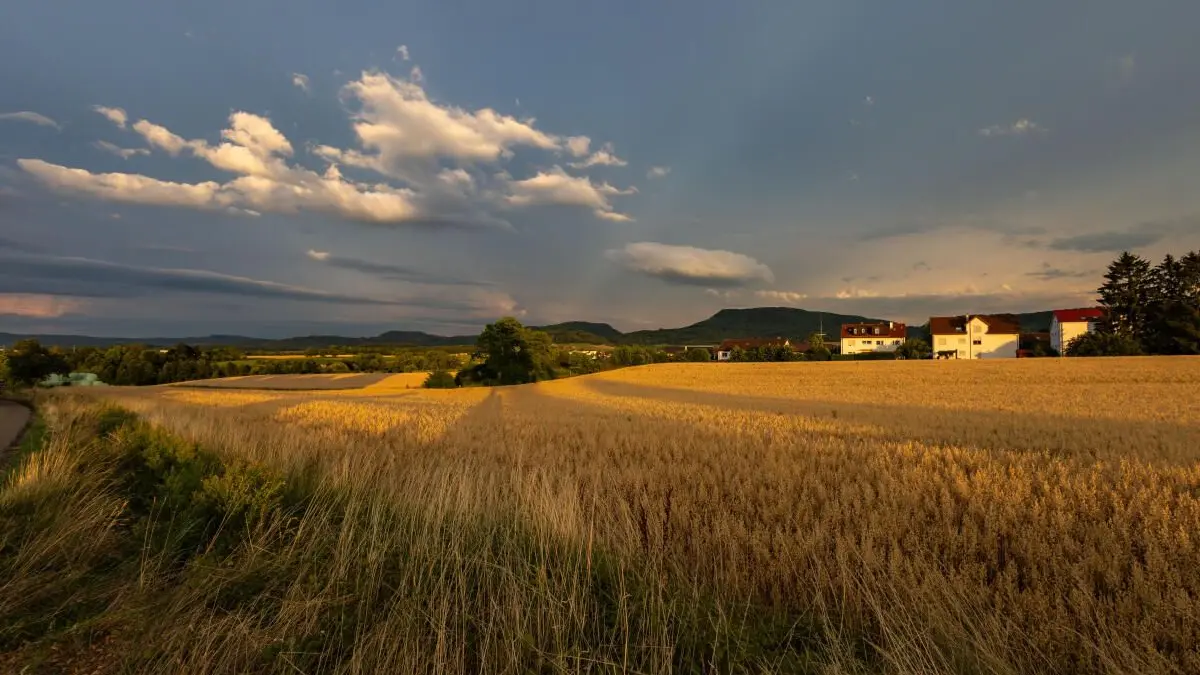 Wetter Sonne Felder bei Heiningen