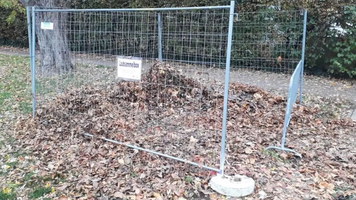 Die Laubboxen entfallen, doch Laubsammelplätze wird es in Fellbach weiterhin geben