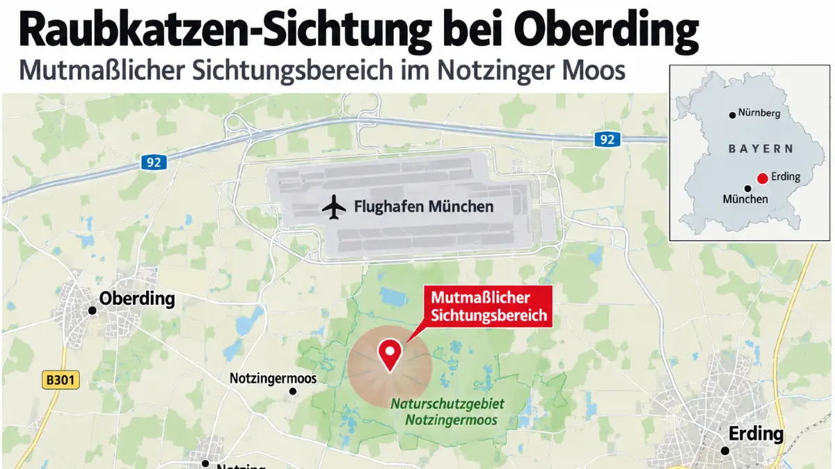 Hier soll das Tier gesichtet worden sein.