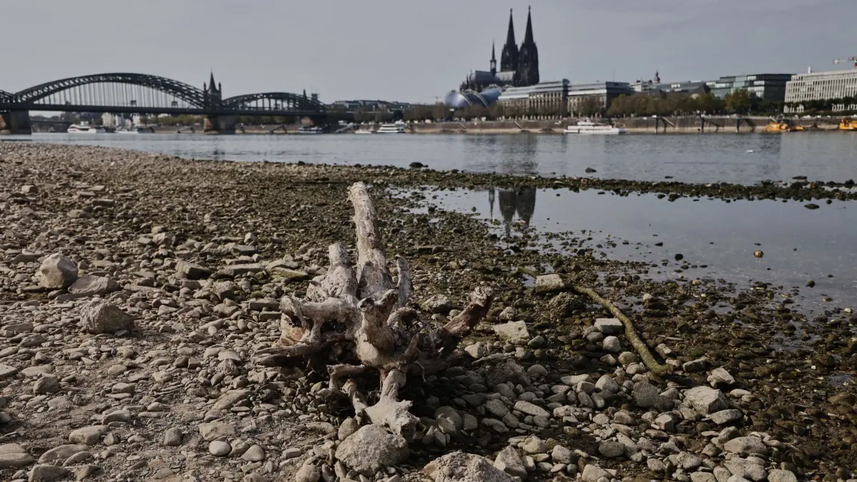 Niedrigwasser am Rhein in Köln: Der Dom spiegelt sich am Rheinufer in Köln im Wasser. Die außerordentlich niedrigen Pegelstände am Rhein erschweren den Schiffsverkehr weiter. (zu dpa: «Ebbe in Flüssen - Westeuropa erlebt weiter Rekord-Wetter»)