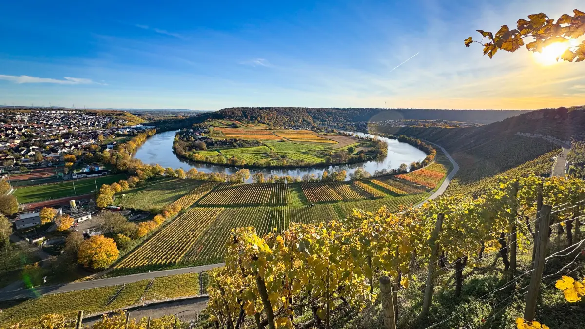 Die Neckarschleife bei Mundelsheim im Herbst.