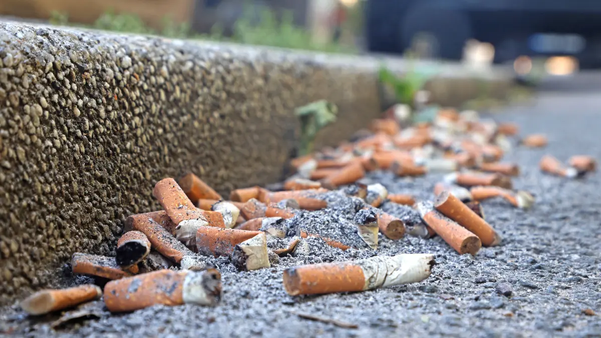Gesundheit und Geld zu Asche verbrannt Zigarettenkippen in großer Zahl und deren Asche befinden sich an einem Straßenrand.