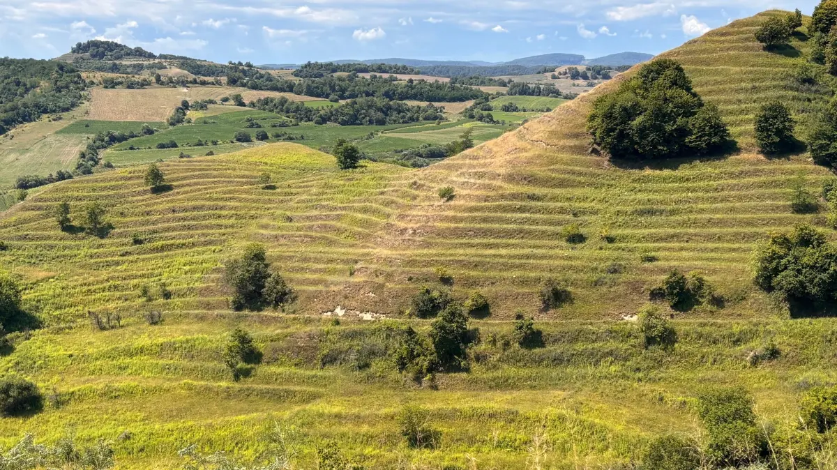 Rumänien E-Weinberge