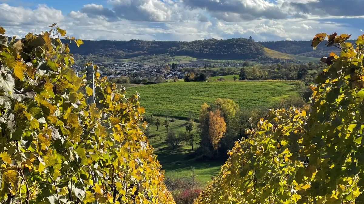 Wetter Weinberge Bottwartal