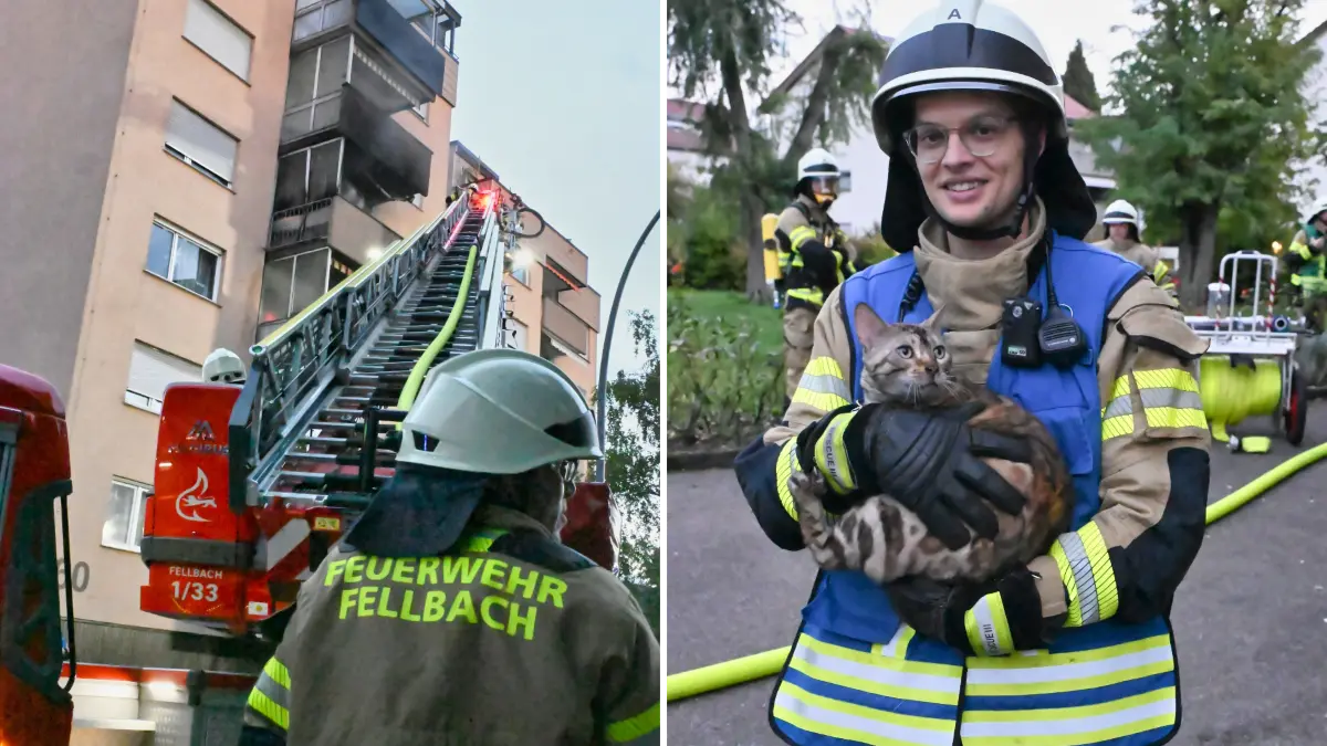 Die Feuerwehr war mit einer Drehleiter im Einsatz. Eine Katze wurde eingefangen.