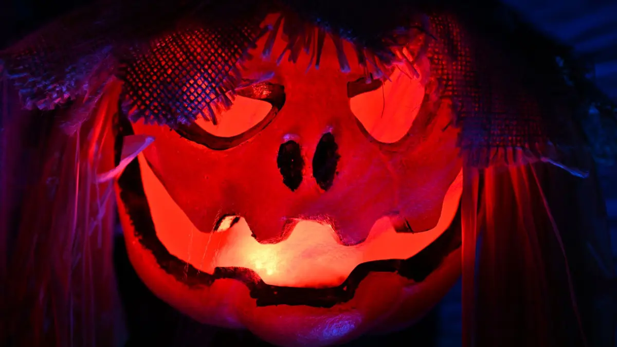 Halloween in Thüringen: PRODUKTION - 21.10.2026, Thüringen, Hohenkirchen: Gruselige Dekoration leuchtet im Halloween-Garten Hohenkirchen. Auch in Thüringen verwandeln manche Bewohner ihre Grundstücke mit Deko in regelrechte Spukhäuser. (zu dpa: «Rund um Halloween in Thüringen: Wo es was zum Gruseln gibt») Foto: Martin Schutt/dpa +++ dpa-Bildfunk +++
