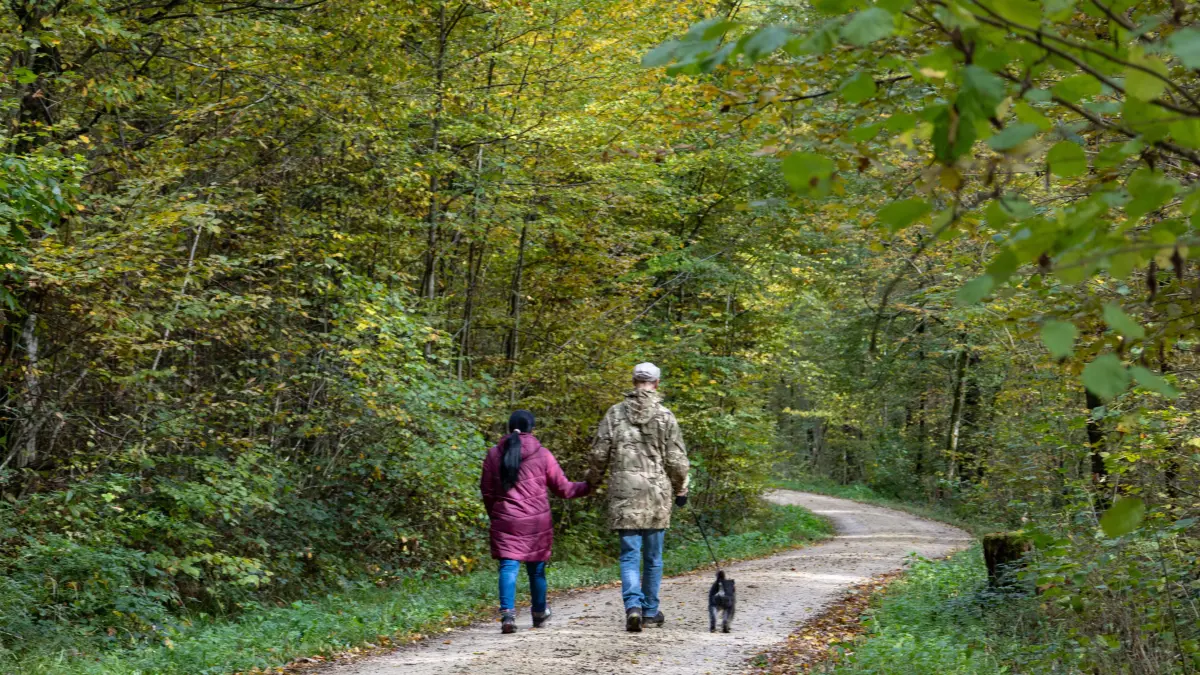 Sperrung im Krummwälden, Umleitung führt über Waldwege