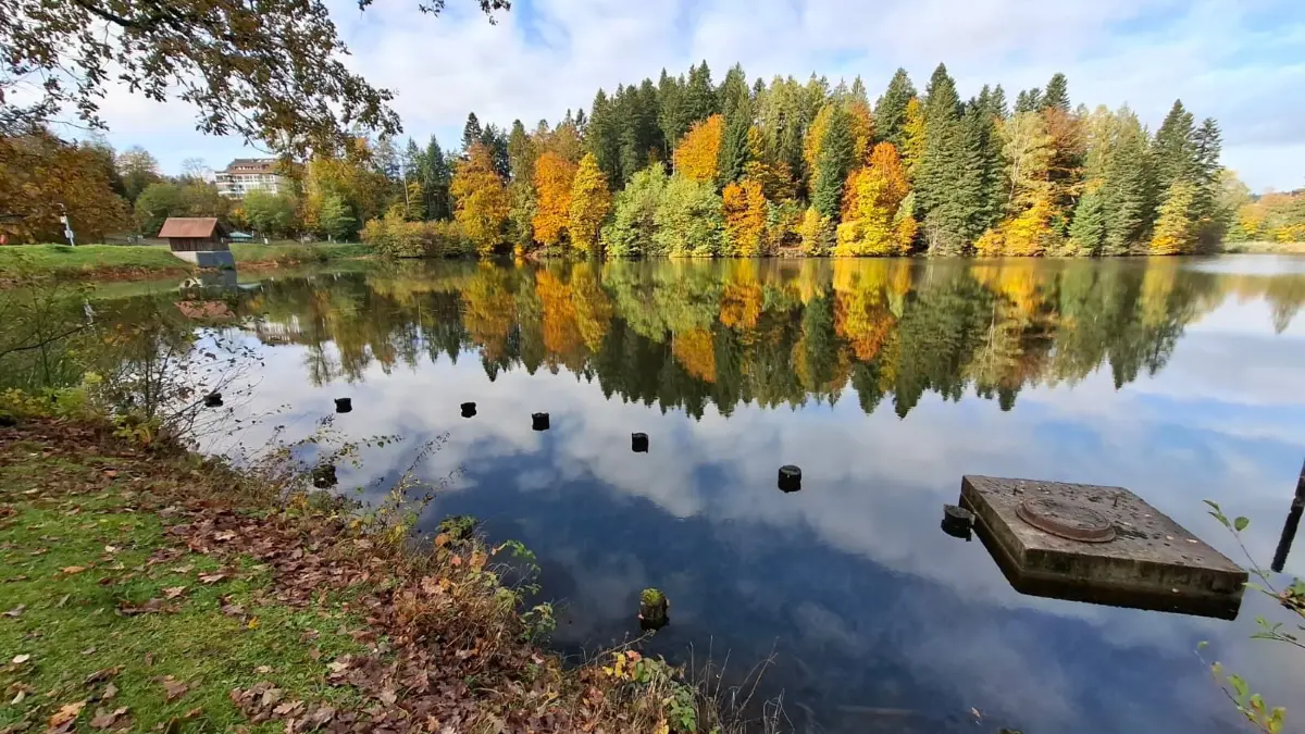 Ebnisee wird abgelassen, Herbst, Kaisersbach