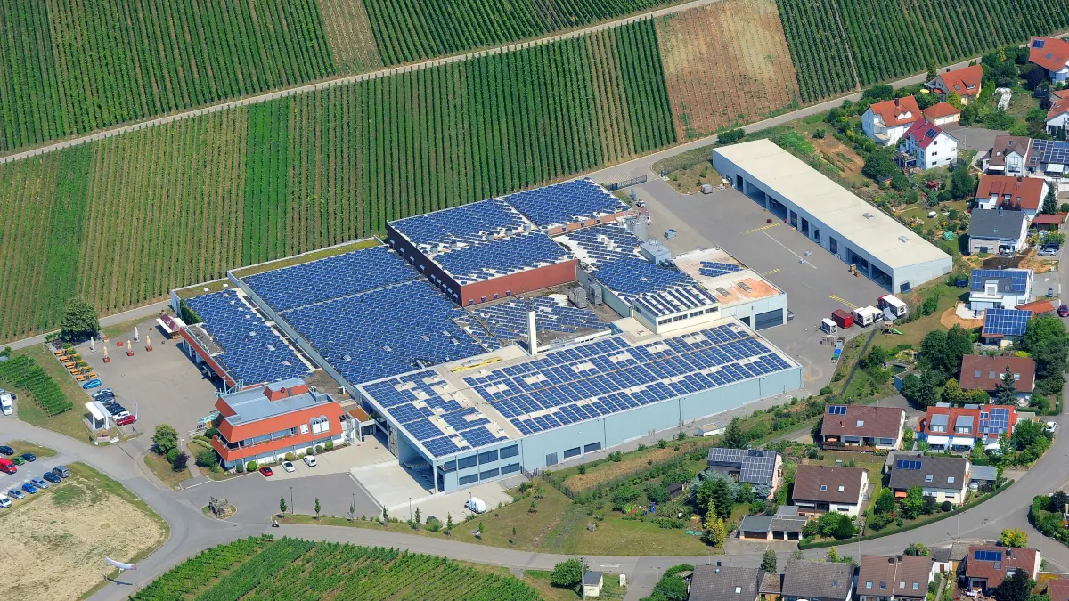 Hessigheim Weinberg Weingenossenschaft
Felsengartenkellerei