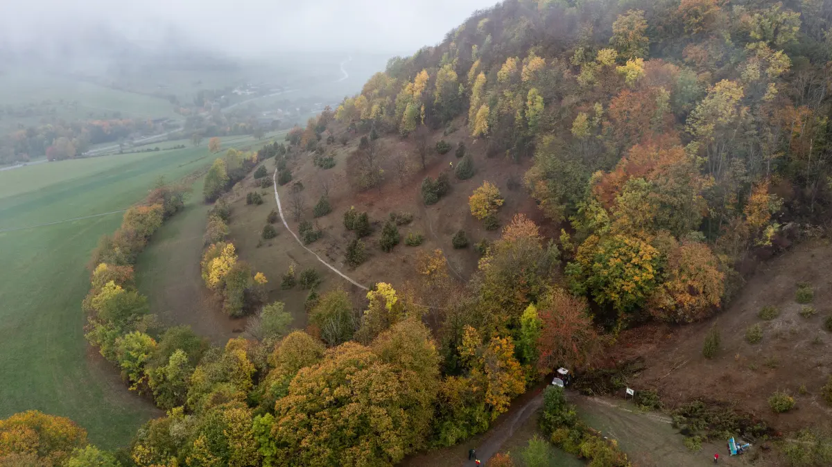 Landschaftspflegetag im Naturschutzgebiet Haarberg-Wasserberg (Landkreis Göppingen)