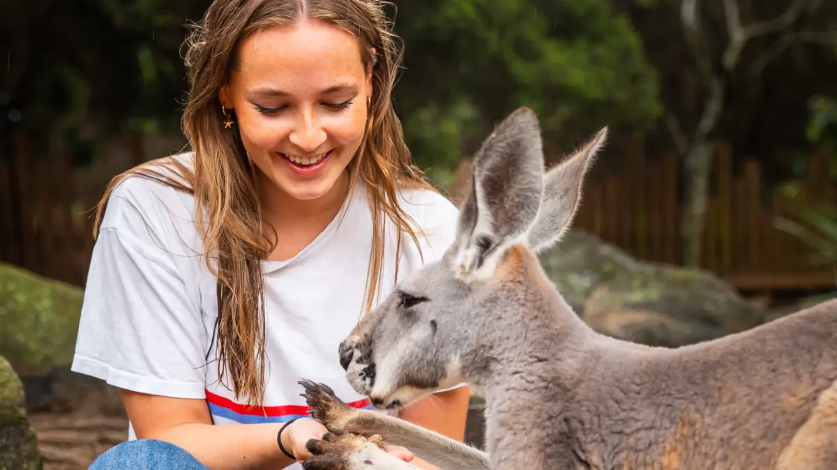 Prinzessin Ingrid Alexandra im Taronga Zoo in Sydney, Australien.