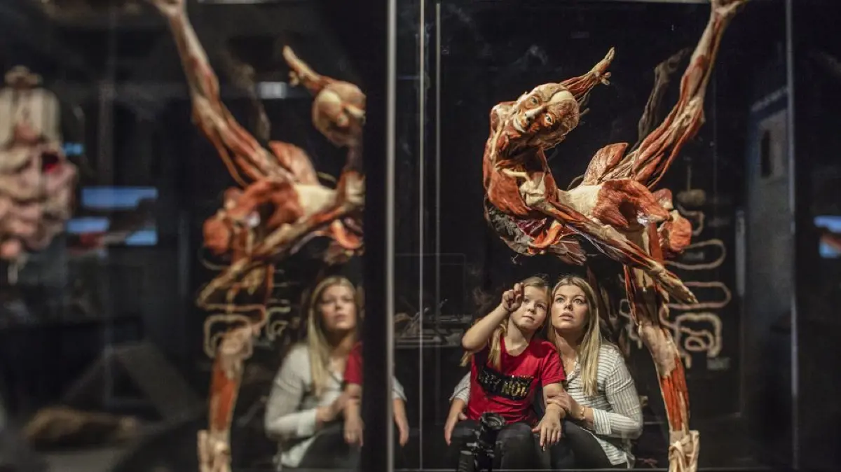 Die Ausstellung richtet sich an Menschen ohne medizinische Vorkenntnisse als auch an Fachkräfte aus Medizin, Pflege und Gesundheitswesen.