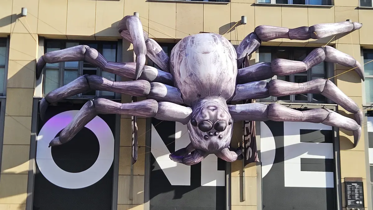 Gigantische Spinne sorgt an der B27 für Aufsehen.