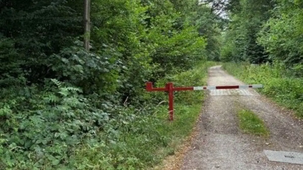 Blick von der Römerstraße in das Waldgebiet, das als Standort für eine Bauschuttdeponie infrage kommt.